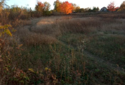 Продаж ділянки під житлову забудову фото 6 Продаж ділянки під житлову забудову фото 6