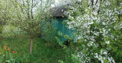 Продается участок Хмельницкий, Хмельницкая, Раково фото 4 Продается участок Хмельницкий, Хмельницкая, Раково фото 4