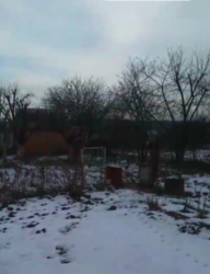 Продаж ділянки під житлову забудову фото 3 Продаж ділянки під житлову забудову фото 3