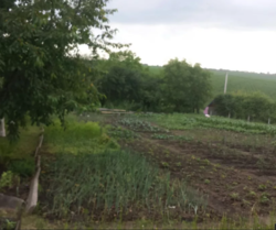 ��������� ������� �����������, �����������, ������ ���� 2