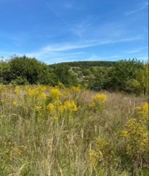 ������ �������� ������ ������� ���� 7