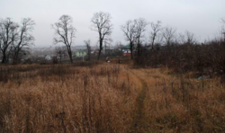 Продаж ділянки під житлову забудову фото 5 Продаж ділянки під житлову забудову фото 5