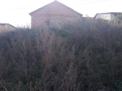 ��������� ������� �����������, �����������, ������� ���� 16