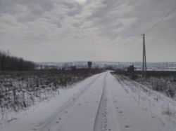 ��������� ������� �����������, �����������, ���-�������� ���� 4