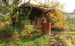 Продаж землі сільськогосподарського призначення фото 4 Продаж землі сільськогосподарського призначення фото 4