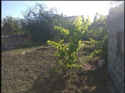 ������ �������� ������ ���� 6