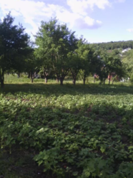 Продается участок Хмельницкая, Хмельницкий, Лезнево, мікрорайон Світанок-2 фото 2 Продается участок Хмельницкая, Хмельницкий, Лезнево, мікрорайон Світанок-2 фото 2