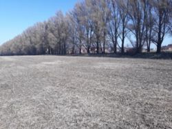 Продается участок Хмельницкий, Хмельницкая, Гречаны ближние фото 2 Продается участок Хмельницкий, Хмельницкая, Гречаны ближние фото 2