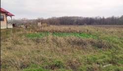 ������ ���� ��������������������� ����������� ���� 13