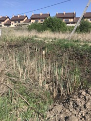 ��������� ������� �����������, �����������, �������������� ���� 8