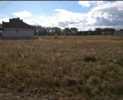 ��������� ������� ������������ ����, �����������, �����������, ������ ���� 1