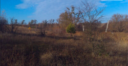 Продаж землі сільськогосподарського призначення фото 4 Продаж землі сільськогосподарського призначення фото 4