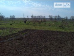 ������ �������� ������ ���� 13