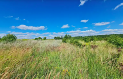 Продается участок Хмельницкая, Хмельницкий, Ружичная фото 3 Продается участок Хмельницкая, Хмельницкий, Ружичная фото 3