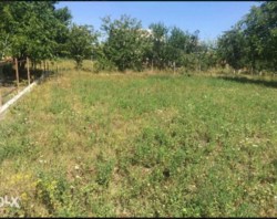 ��������� ������� �������, �����������, �����������, ������� ���� 6