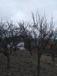 ������ �������� ������ ���� 5