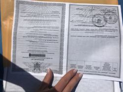 ��������� ������� �����������, �����������, �������������� ���� 5