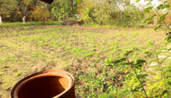 Продаж землі сільськогосподарського призначення фото 6 Продаж землі сільськогосподарського призначення фото 6