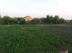 ������ �������� ������ ���� 8