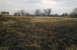 Продаж землі сільськогосподарського призначення фото 2 Продаж землі сільськогосподарського призначення фото 2