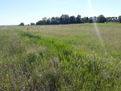 ������ �������� ������ ���� 1