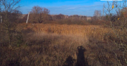 Продаж землі сільськогосподарського призначення фото 2 Продаж землі сільськогосподарського призначення фото 2