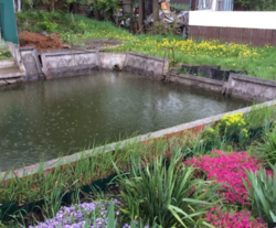 ��������� ������� ��������, �����������, ����������� ���� 6