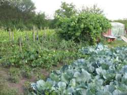 ��������� ������� �����������, �����������, ��������, ���� ���� 3