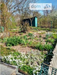 ������ �������� ������ ���� 12