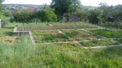 ������ �������� ������ ���� 6