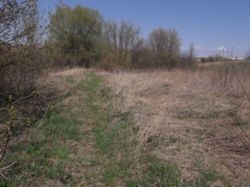 Продаж земельної ділянки фото 2 Продаж земельної ділянки фото 2