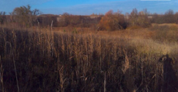 Продаж землі сільськогосподарського призначення фото 16 Продаж землі сільськогосподарського призначення фото 16