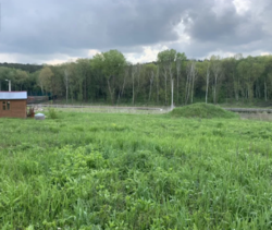 ��������� ������� �����������, ����������� ���� 5