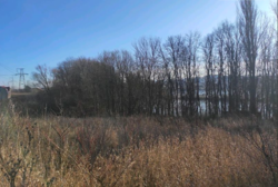 ������ ������ �� ������� �������� ���� 5