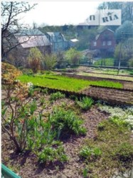 ������ �������� ������ ���� 6