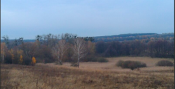 Продаж землі сільськогосподарського призначення фото 17 Продаж землі сільськогосподарського призначення фото 17