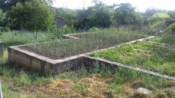 ������ �������� ������ ���� 7