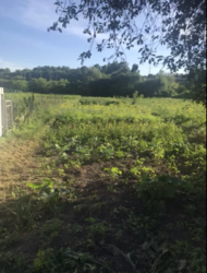 ��������� ������� �����������, �����������, ������� �������, ��������� ���� 3