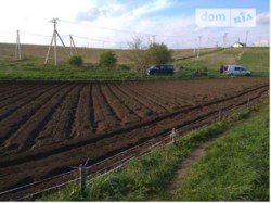 ������ �������� ������ ���� 7