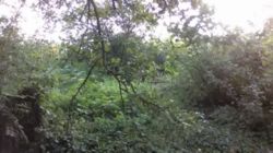 ��������� ������� ������, �����������, ����������� ���� 1