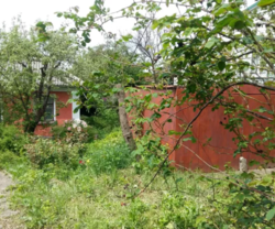 ��������� ������� ���������, �����������, �����������, ������ ���� 1