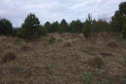 Продаж ділянки під житлову забудову фото 7 Продаж ділянки під житлову забудову фото 7