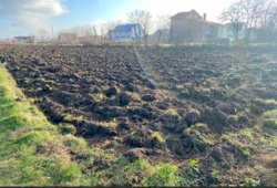 ������ ������ �� ������� �������� ���� 7