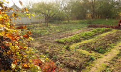 Продаж землі сільськогосподарського призначення фото 7 Продаж землі сільськогосподарського призначення фото 7