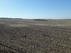 Продается участок Хмельницкий, Хмельницкая, Гречаны ближние фото 6 Продается участок Хмельницкий, Хмельницкая, Гречаны ближние фото 6