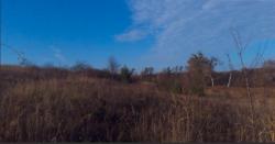 Продаж землі сільськогосподарського призначення фото 7 Продаж землі сільськогосподарського призначення фото 7