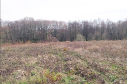 ������ ���� ��������������������� ����������� ���� 8