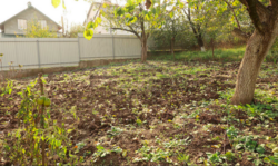 Продаж землі сільськогосподарського призначення фото 8 Продаж землі сільськогосподарського призначення фото 8