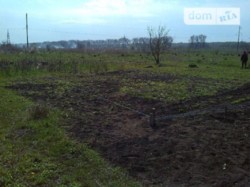 ������ �������� ������ ���� 12