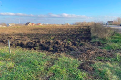 ������ ������ �� ������� �������� ���� 2